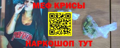 гашик Моздок