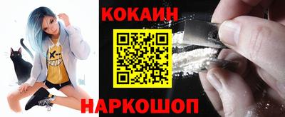 гашик Можга