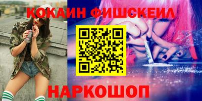 гашик Моздок