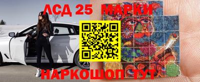 гашик Моздок