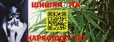 гашик Можга