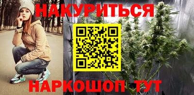 гашик Можга