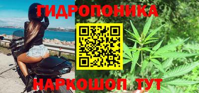 гашик Моздок
