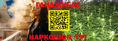гашик Моздок