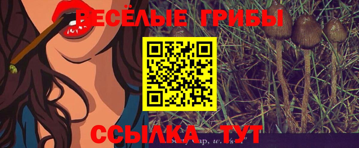 Усть-Илимск  Псилоцибиновые грибы ЛСД  Вход с VPN  Галлюциногенные грибы мицелий 
